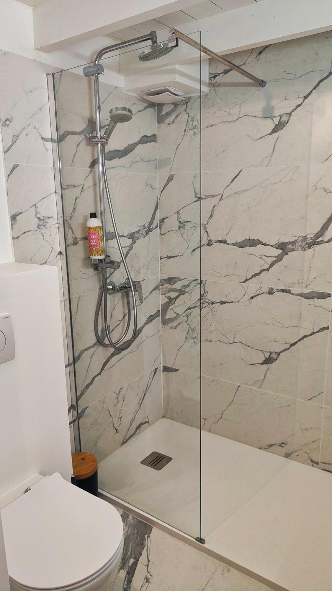 Blanche-Neige Clim Ile Verte Proche Hopital Grenoble Ngoại thất bức ảnh